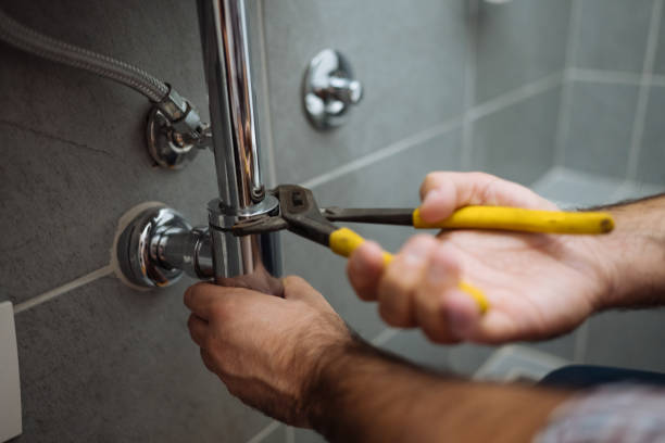 Best Faucet Repair  in Carnation, WA